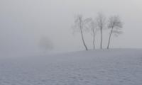 20230304_084803.jpg